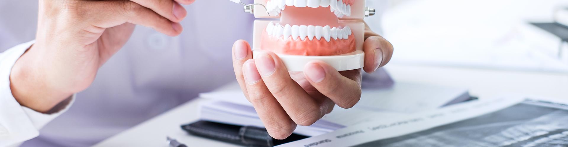 Dr. Tatai Dániel Dr. Tatai Dániel